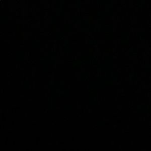 Meet your Posher, Gavin